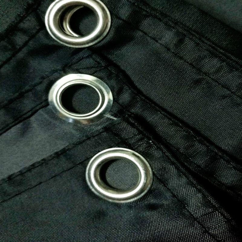 Drapeau Tête de Mort <br/> Lion