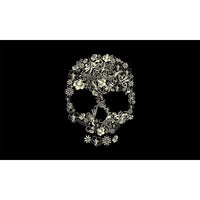 Thumbnail for Drapeau Crâne