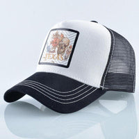 Thumbnail for Casquette Texas