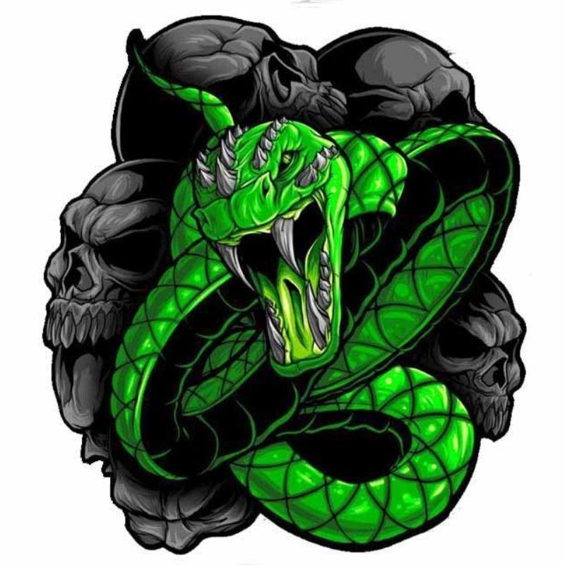 Sticker Serpent Vert