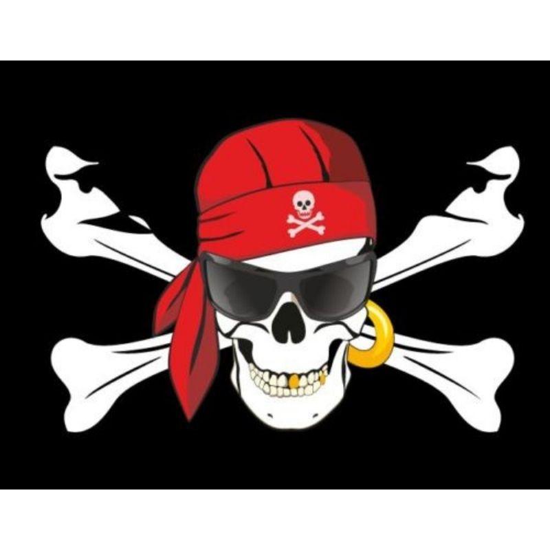 Drapeau Tête de Mort Lunette