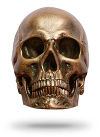 Thumbnail for Skull Décoration