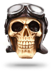 Thumbnail for Crâne Aviateur Déco