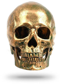Thumbnail for Crâne Décoration