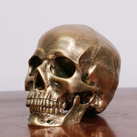 Thumbnail for Skull Décoration