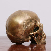 Thumbnail for Skull Décoration